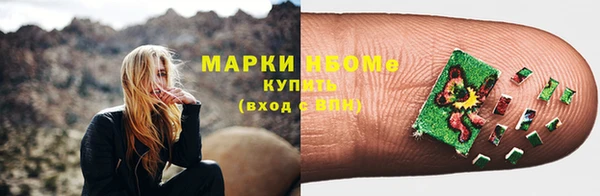стаф Кодинск