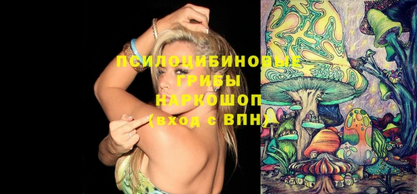 mix Козельск