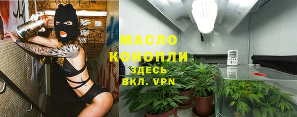 стаф Кодинск